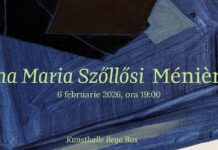 Ménière, Ana Maria Szőllősi, la Kunsthalle Bega