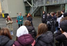 Timișoara devine laborator european pentru turismul sustenabil: 40 de experți internaționali validează noile rute turistice din Fabric și Parța