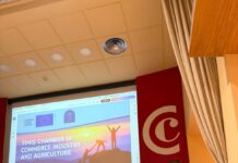 Oportunități de cooperare economică între Timiș și Țara Bascilor și Regiunea Navarra: misiunea economică organizată de CCIA Timiș în Spania