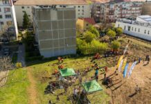 Noi intervenții pentru biodiversitate în Timișoara: două mini-păduri urbane și 450 mp de pajiște pe malurile Begăi