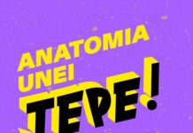 Dezbatere pe tema fraudelor online la UPT: Anatomia unei țepe