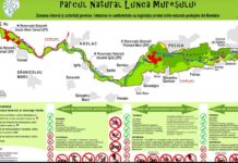 Banat Brunch la Secusigiu! Curtea Casei De La Măicuța se deschide de Ziua Europei, 9 mai 2026