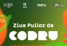 CODRU ART BUS prinde viață de 1 Iunie în Parcul Copiilor. Un troleibuz scos din uz se transformă într-un proiect colaborativ de grafică