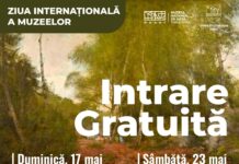Ziua Internațională a Muzeelor, marcată prin intrare gratuită pentru vizitatori la Muzeul Național de Artă Timișoara