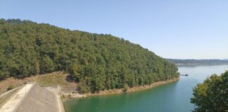 ABA Banat a demarat lucrările de modernizare și siguranță la Acumularea Surduc