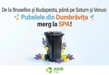 De la Bruxelles și Budapesta, până pe Saturn și Venus: Pubelele din Dumbrăvița merg la SPA săptămâna viitoare!