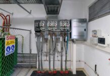 Rețele Electrice România a investit peste 123 milioane de lei în 2025 în modernizarea și digitalizarea infrastructurii electrice de distribuție din Timiș