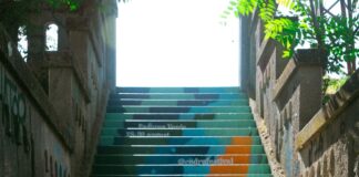 CODRU lansează seria de intervenții urbane „Nature Remembers You” și îi invită pe timișoreni să descopere locurile în care natura își face loc în oraș
