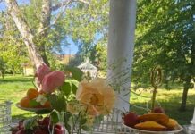 Banat Brunch la Conacul Zăgujeni – o experiență de vară cu gust de Banat