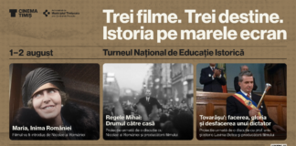 Ce filme putem vedea la cinematografele de tradiție ale orașului