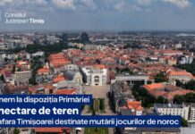 Soluție de criză în disputa pe „păcănele”: Alfred Simonis oferă Primăriei Timișoara 5 hectare pe centură pentru mutarea jocurilor de noroc