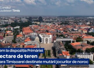 Soluție de criză în disputa pe „păcănele”: Alfred Simonis oferă Primăriei Timișoara 5 hectare pe centură pentru mutarea jocurilor de noroc
