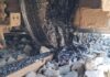 Nicolae Bitea vorbește despre cea mai neagră zi din istoria STPT! Și vrea să vadă vinovații… care însă nu se grăbesc să își asume incompetența