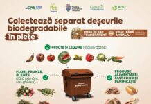 De la coaja de pepene la priză: Cum transformă ADID Timiș resturile din piețe în energie verde