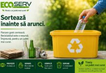 Un singur deșeu pus greșit poate afecta reciclabilul colectat corect. ECO SERV TIMIȘ face apel la responsabilitate
