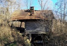 Muzeul Satului Bănățean salvează două construcții tradiționale din Banatul Montan