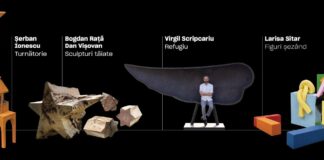 Premiul Peter Jecza pentru Sculptura Anului – ediția a 3-a în valoare de 8.000 euro – Publicul decide