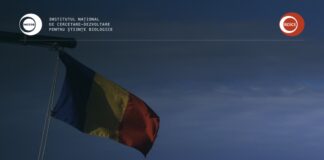 UVT intră pe harta cercetării polare: Alexandru Onaca va participa la o expediție științifică în Antarctica